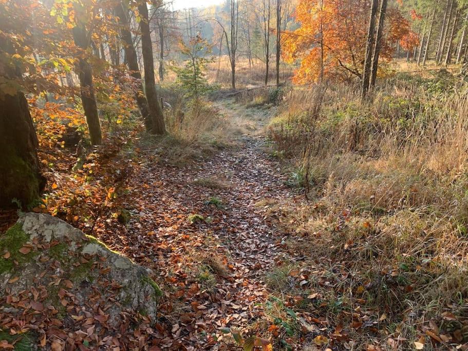 Jermerstein-Haeuschen Braunlage Zewnętrze zdjęcie